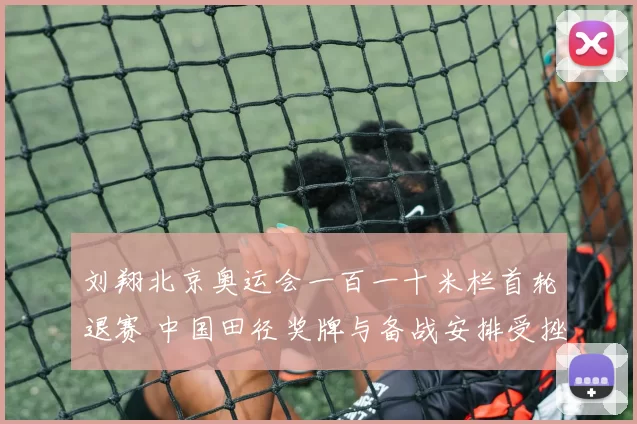 刘翔北京奥运会一百一十米栏首轮退赛 中国田径奖牌与备战安排受挫