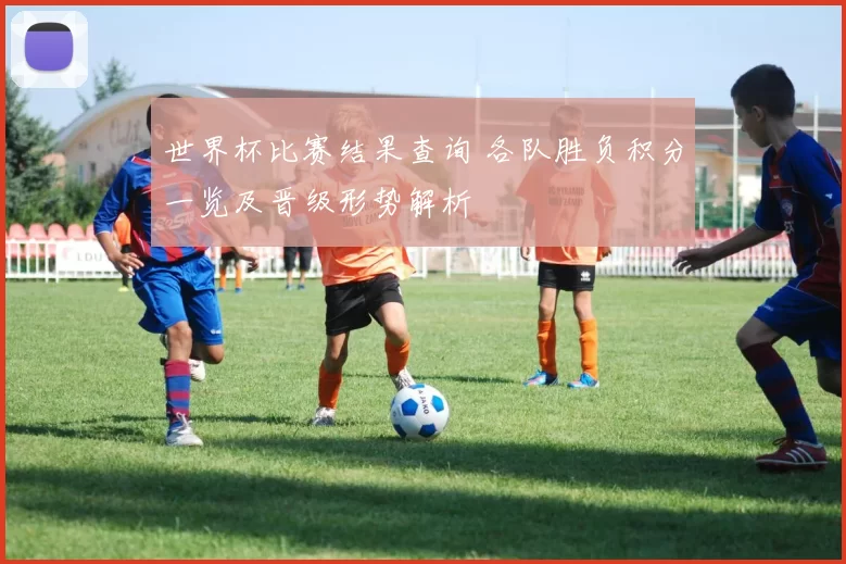 世界杯比赛结果查询 各队胜负积分一览及晋级形势解析